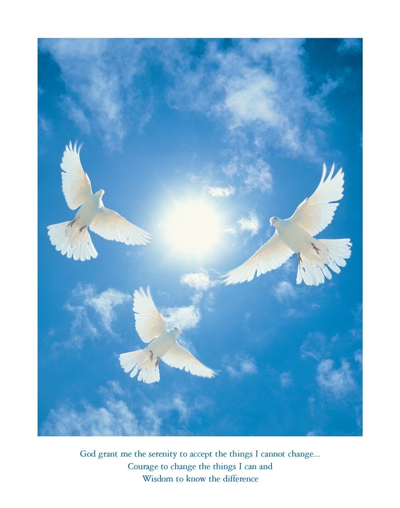 Dserenity - Doves art print by Frontline for $57.95 CAD