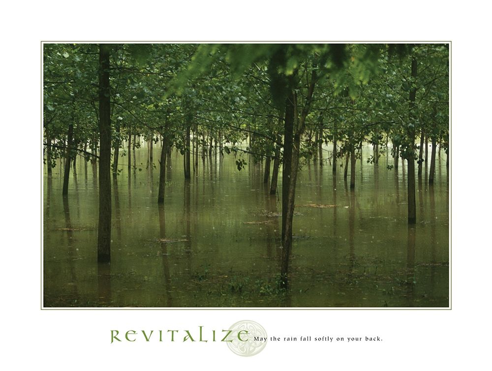 Revitalize - Forest art print by Frontline for $57.95 CAD