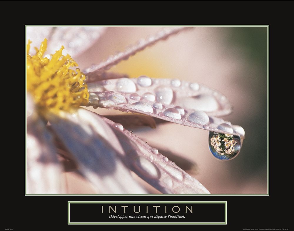 Intuition - Dewdrop art print by Frontline for $57.95 CAD