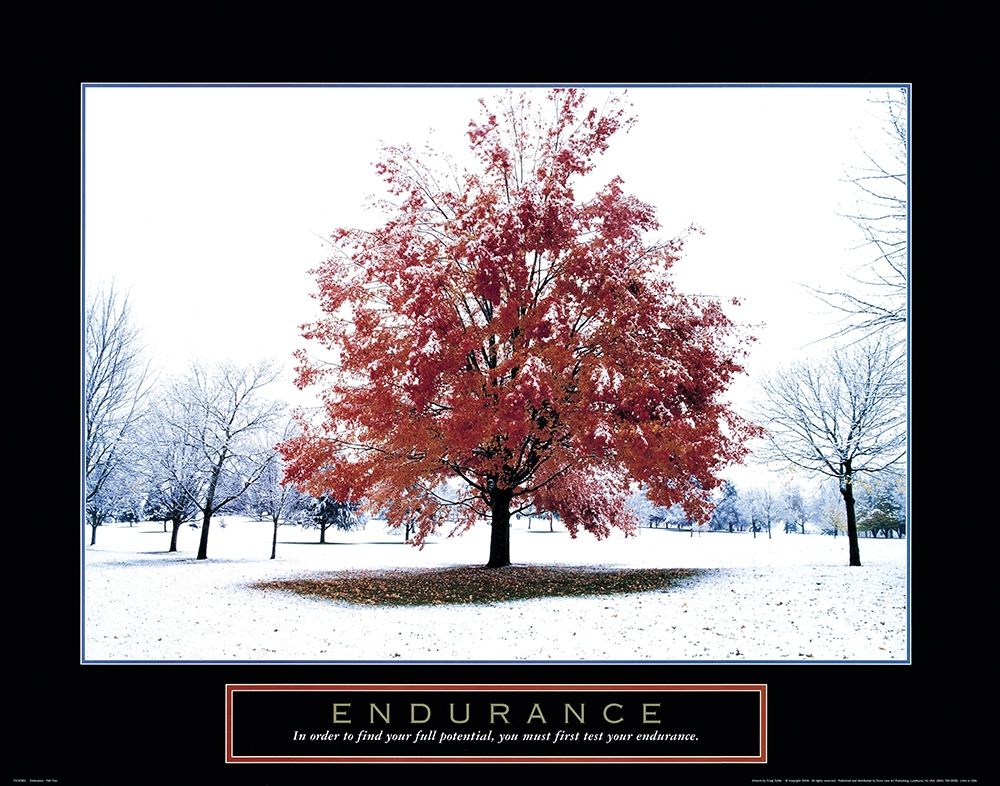 Endurance - Snowy Tree art print by Frontline for $57.95 CAD
