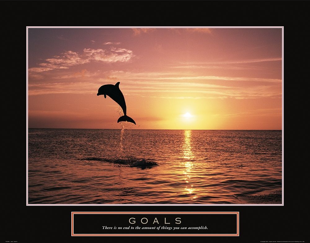 Goals - Dolphin art print by Frontline for $57.95 CAD