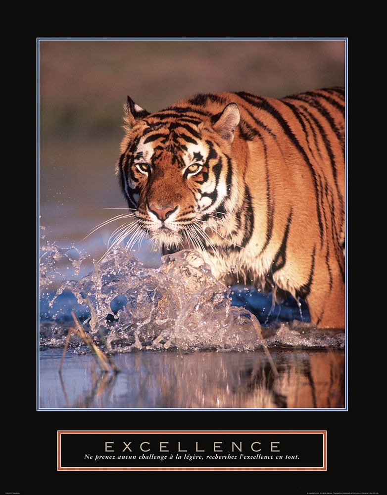 Excellence - Tiger art print by Frontline for $57.95 CAD