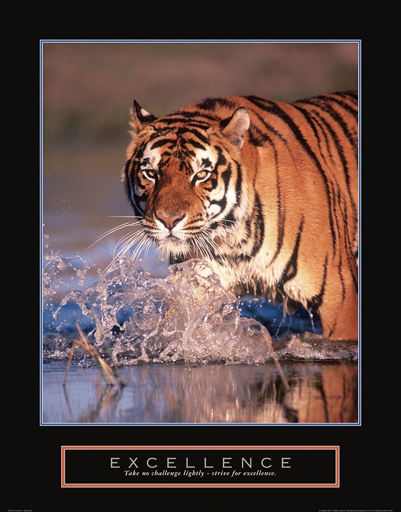Excellence - Tiger art print by Frontline for $57.95 CAD