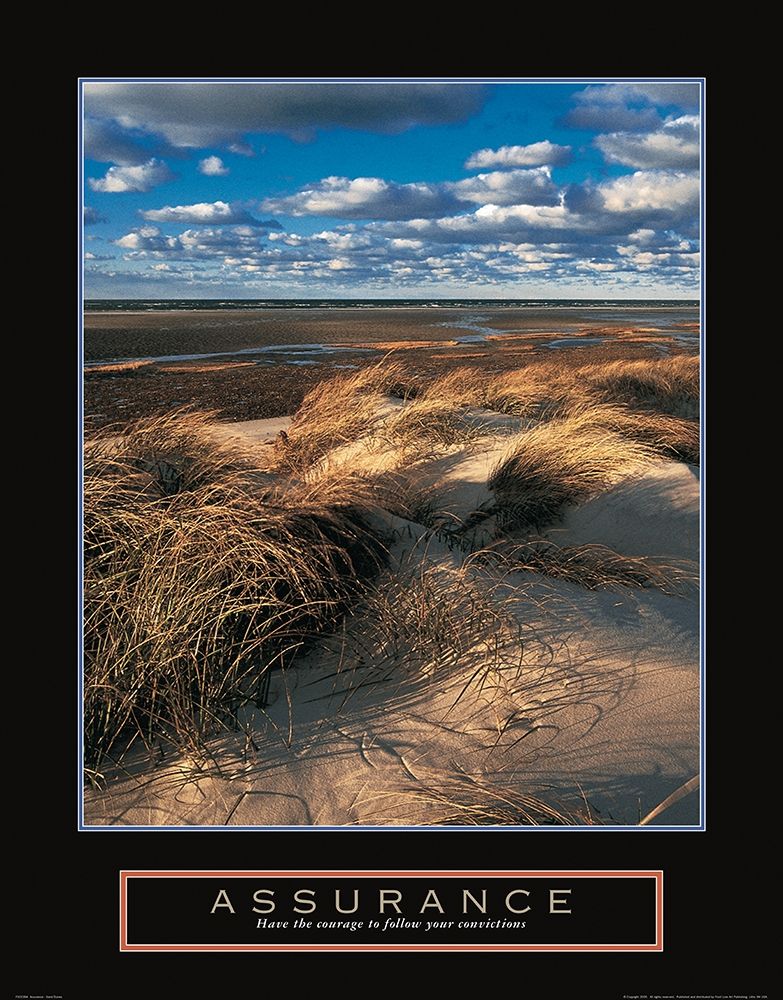 Assurance - Beach Grass art print by Frontline for $57.95 CAD
