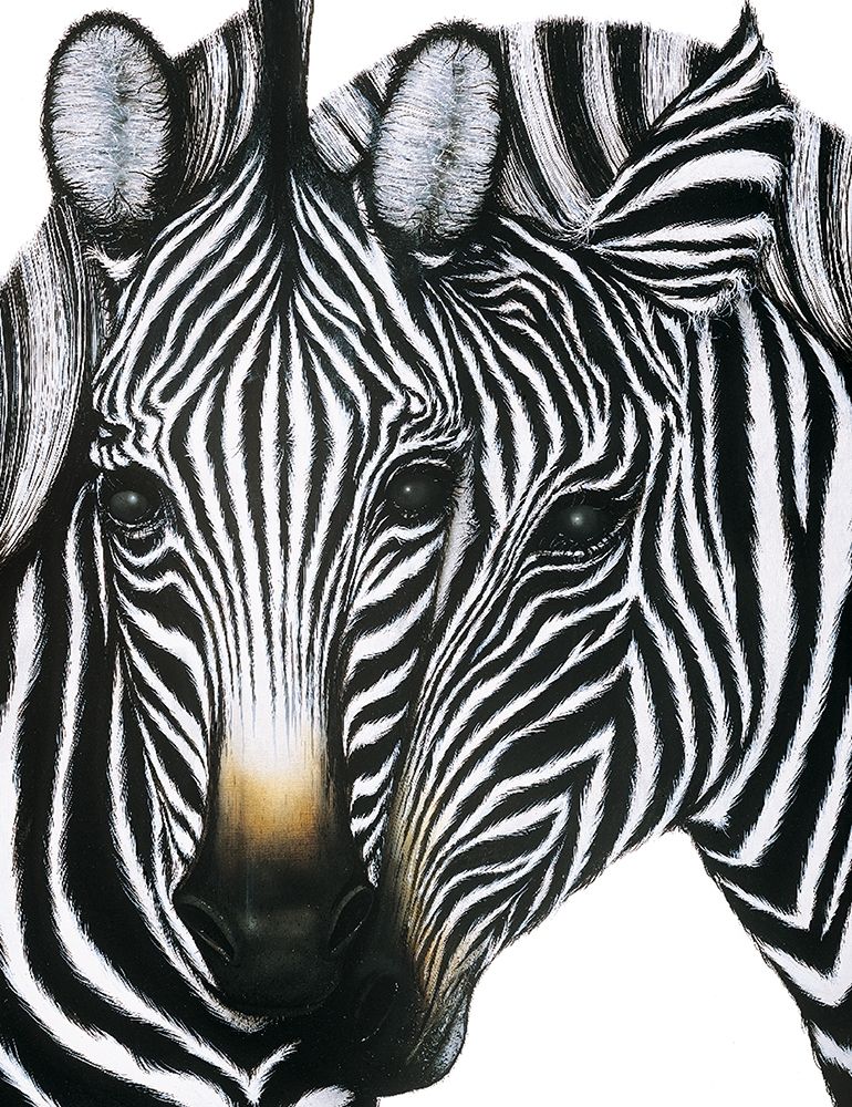 Zebra I art print by Unknown for $57.95 CAD
