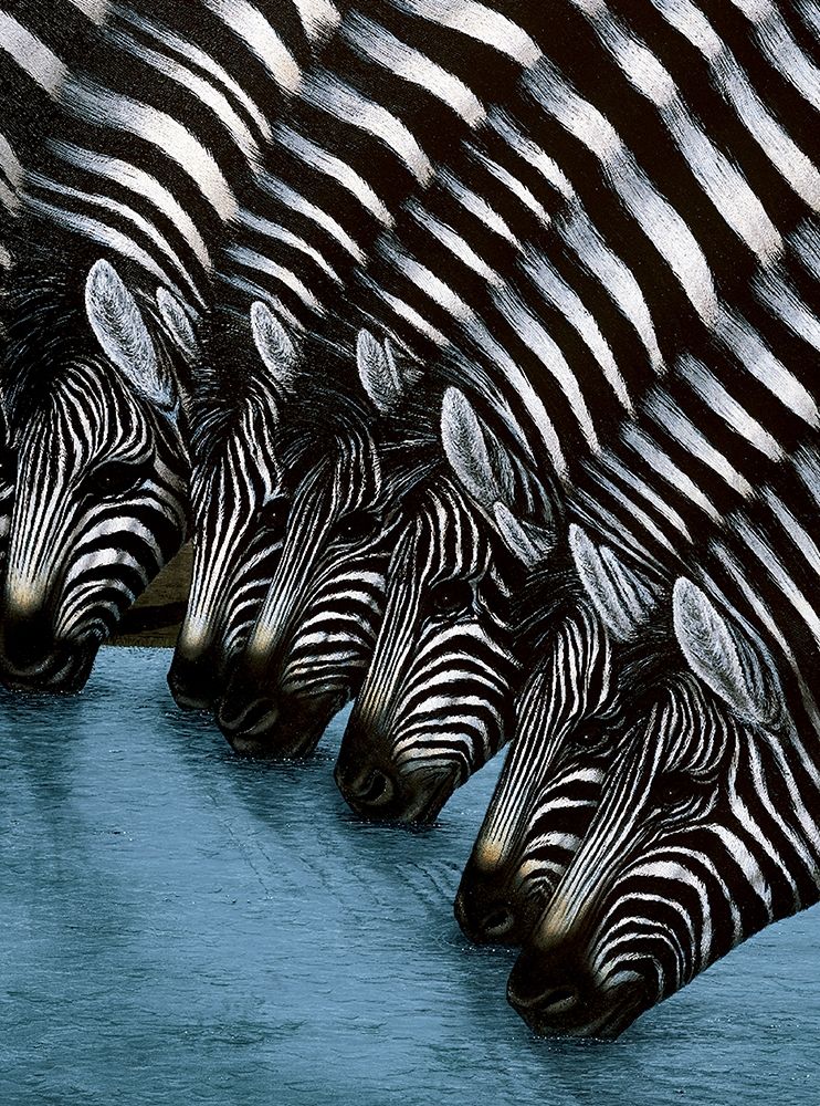 Zebra II art print by Unknown for $57.95 CAD