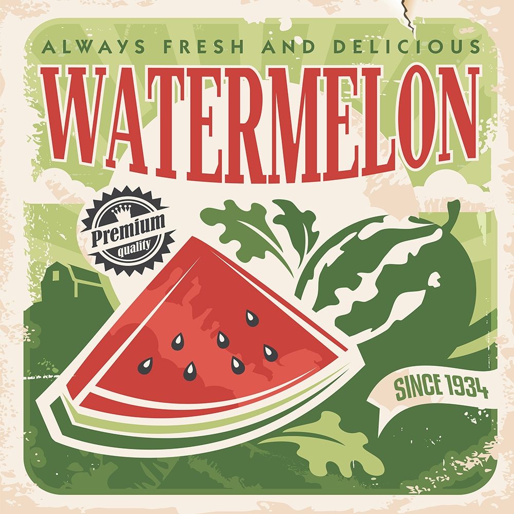 Watermelon art print by BRAUN Studio for $57.95 CAD