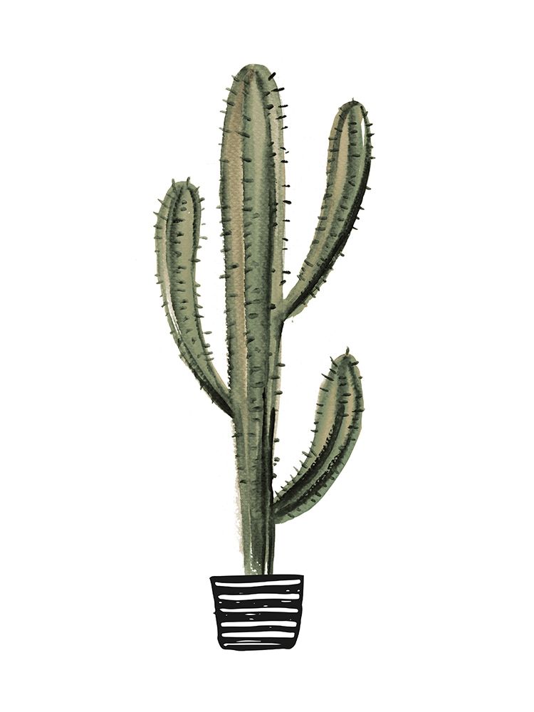 Cactus 3 art print by BRAUN Studio for $57.95 CAD