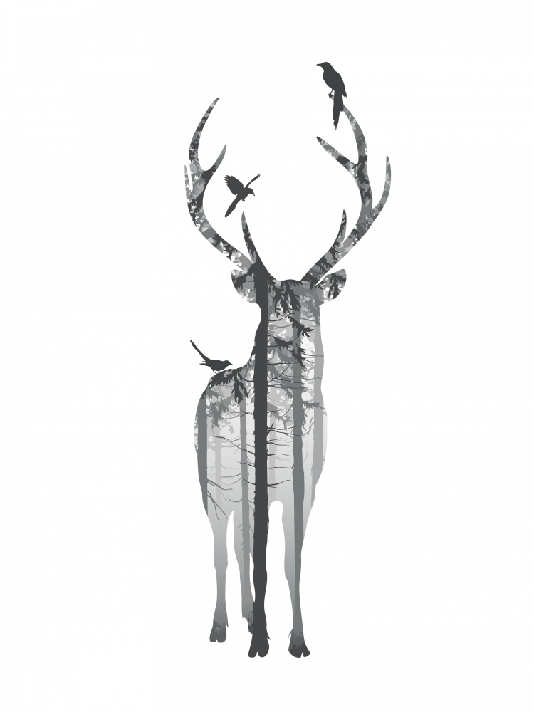 Deer with birds art print by BRAUN Studio for $57.95 CAD