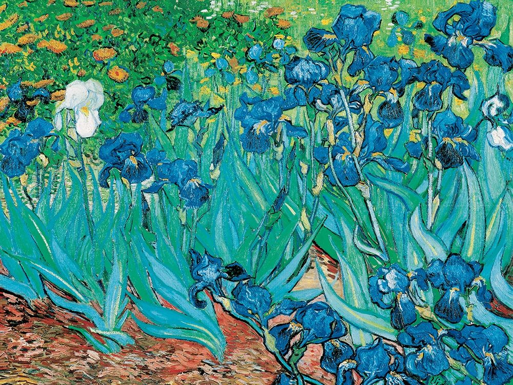 Iris art print by Vincent van Gogh for $57.95 CAD
