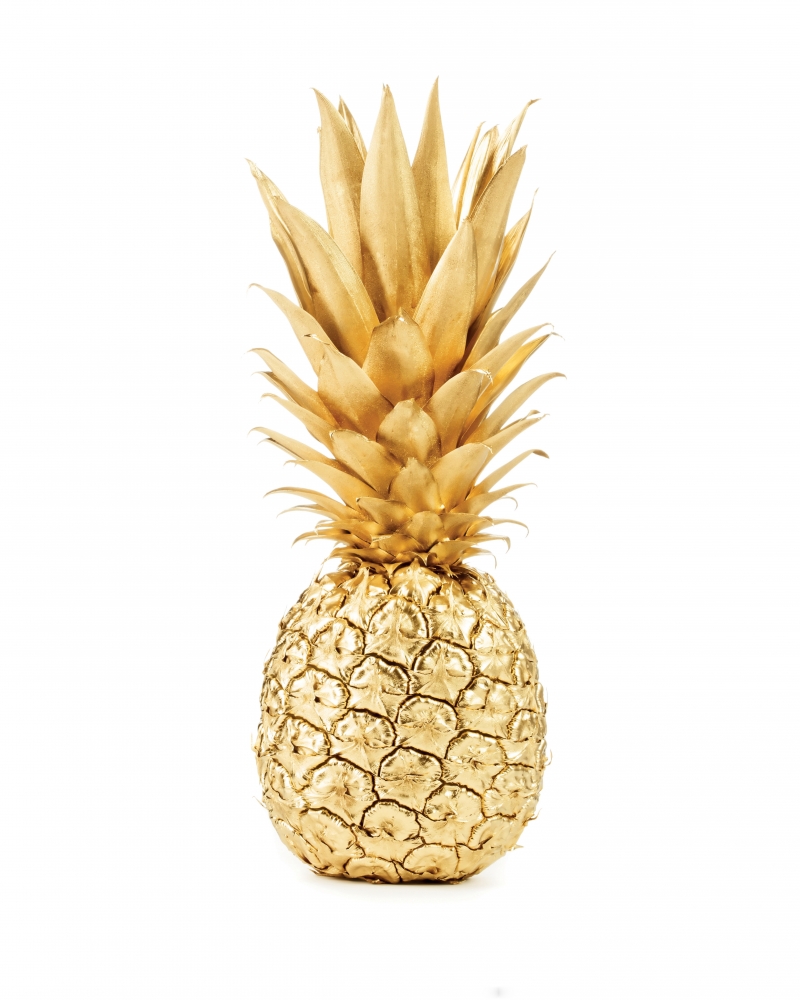 Gold pineapple art print by BRAUN Studio for $57.95 CAD