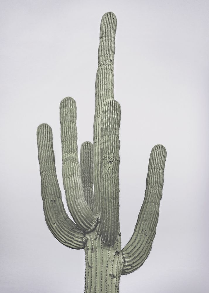 Cactus Totem art print by BRAUN Studio for $57.95 CAD