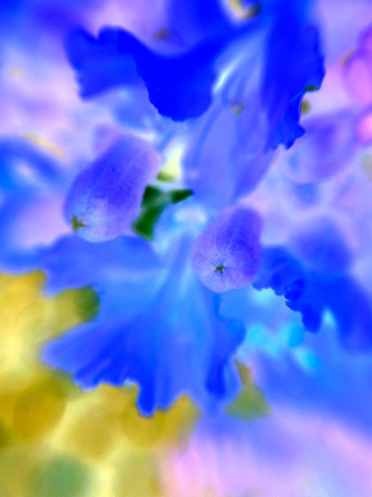 Lacy Edges art print by Grayscale for $57.95 CAD