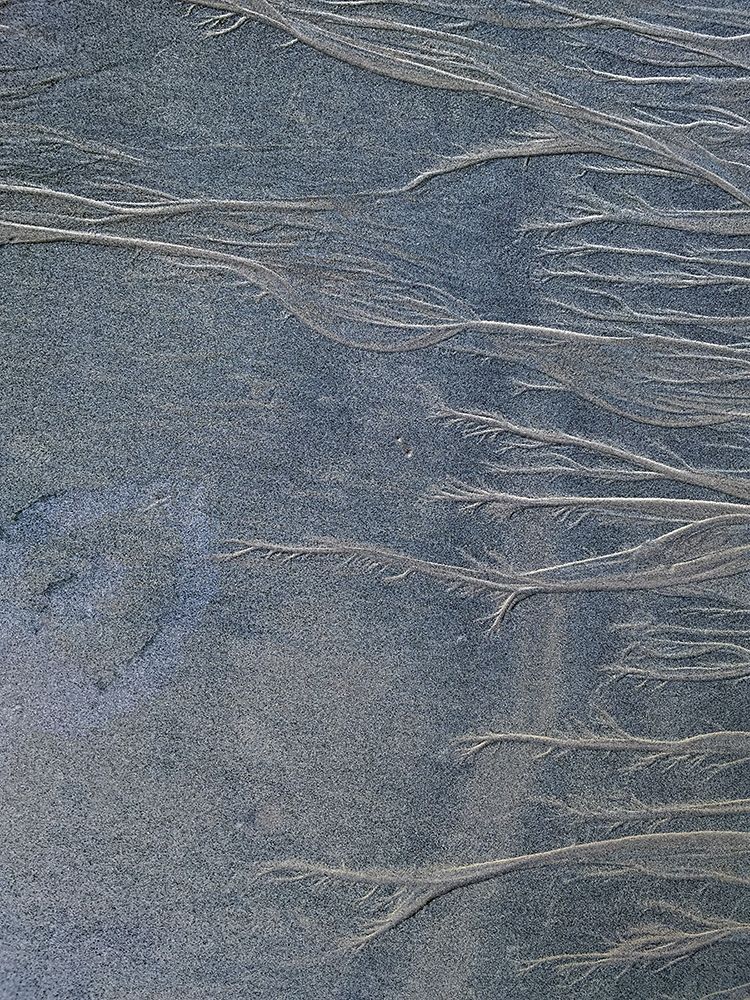 Sand Fibers II art print by Grayscale for $57.95 CAD