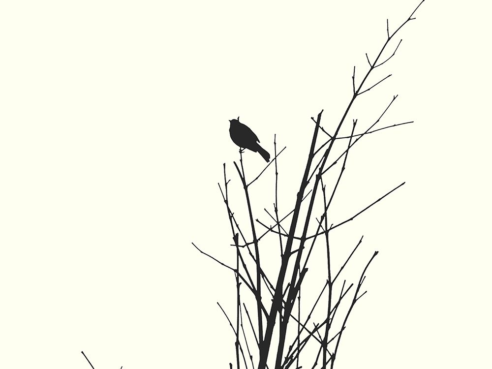 Bird Silhouette: BandW art print by William Tenoever for $57.95 CAD