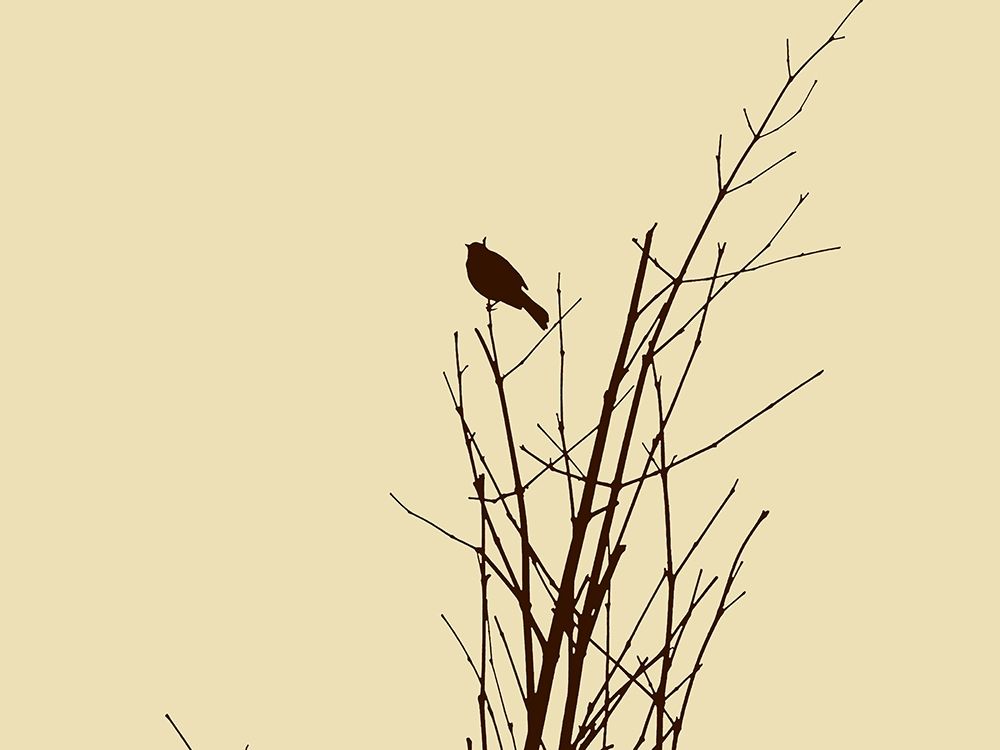 Bird Silhouette: Brown/Ivory art print by William Tenoever for $57.95 CAD