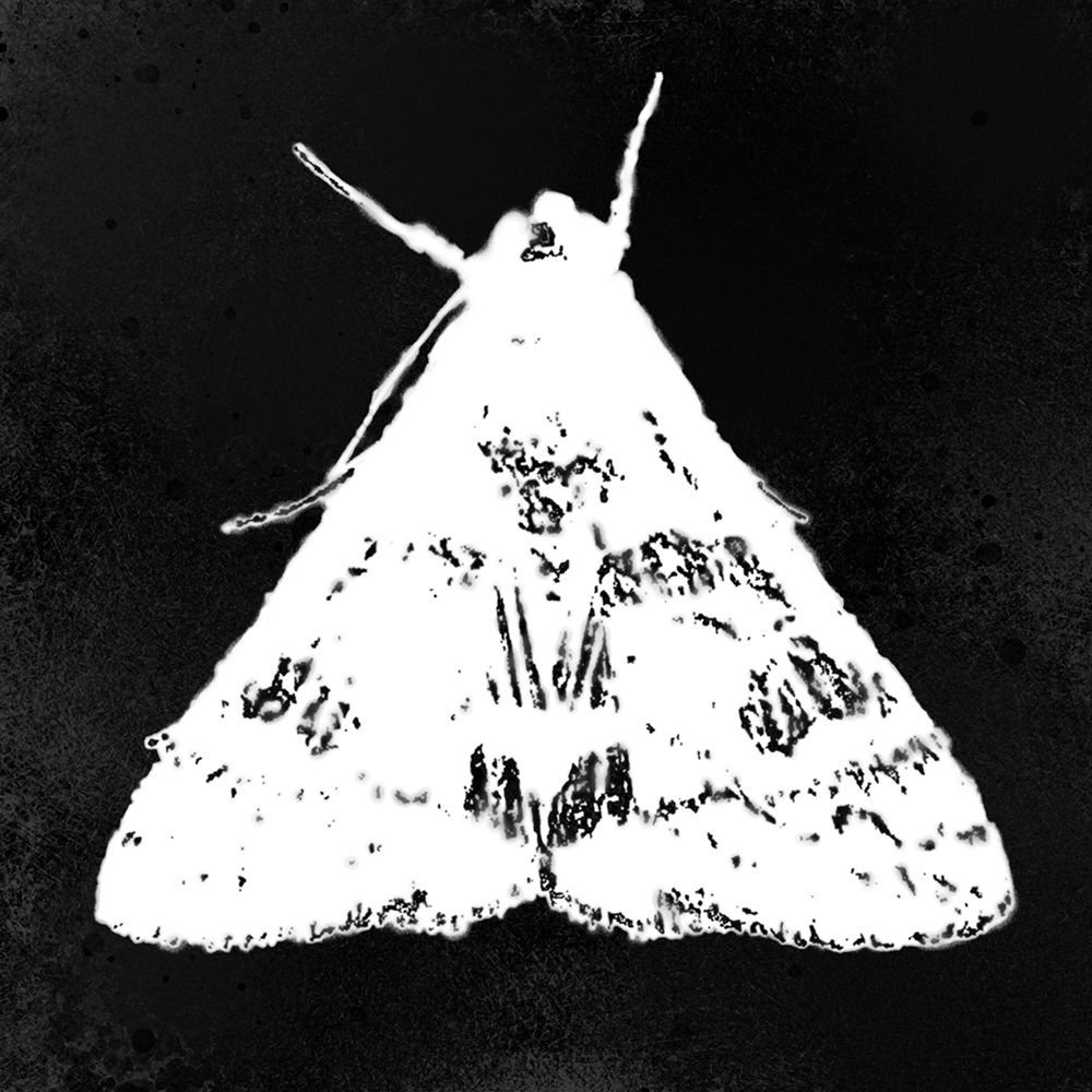 ColorMoods:Moth2 art print by William Tenoever for $57.95 CAD