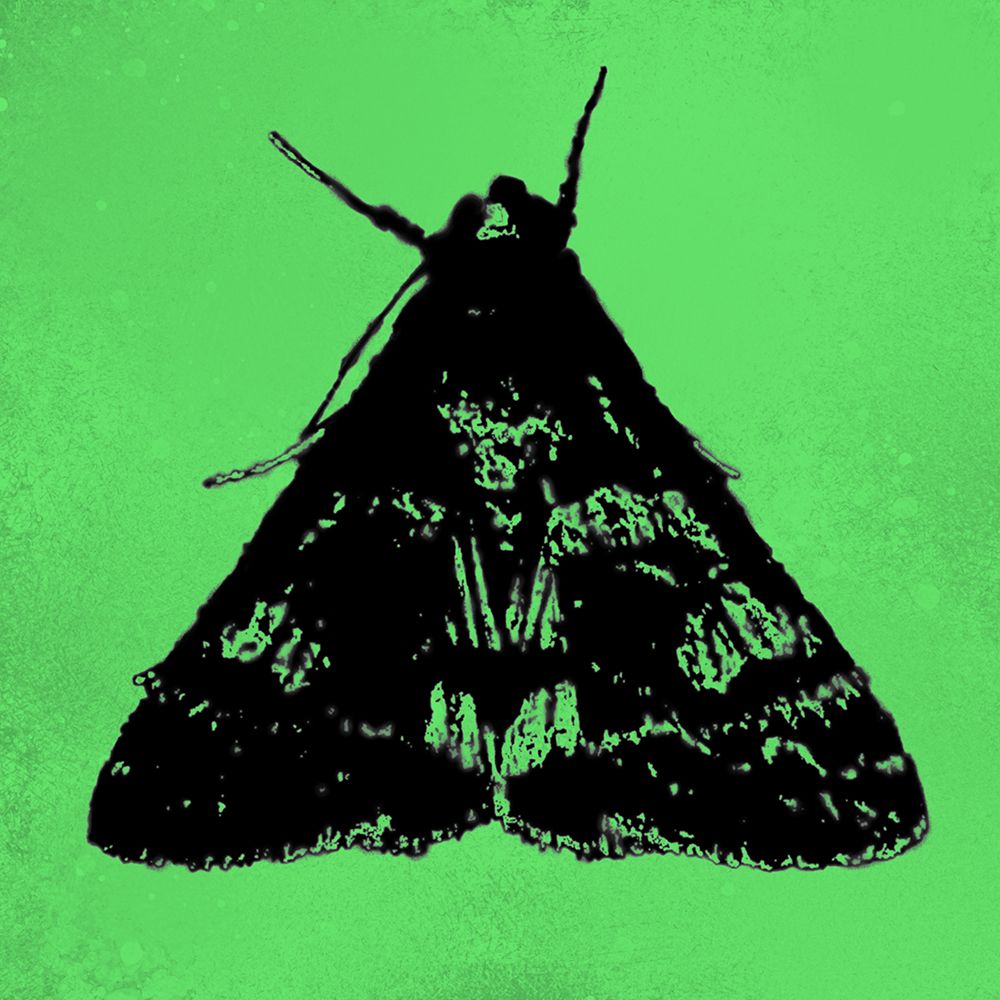 ColorMoods:Moth3 art print by William Tenoever for $57.95 CAD