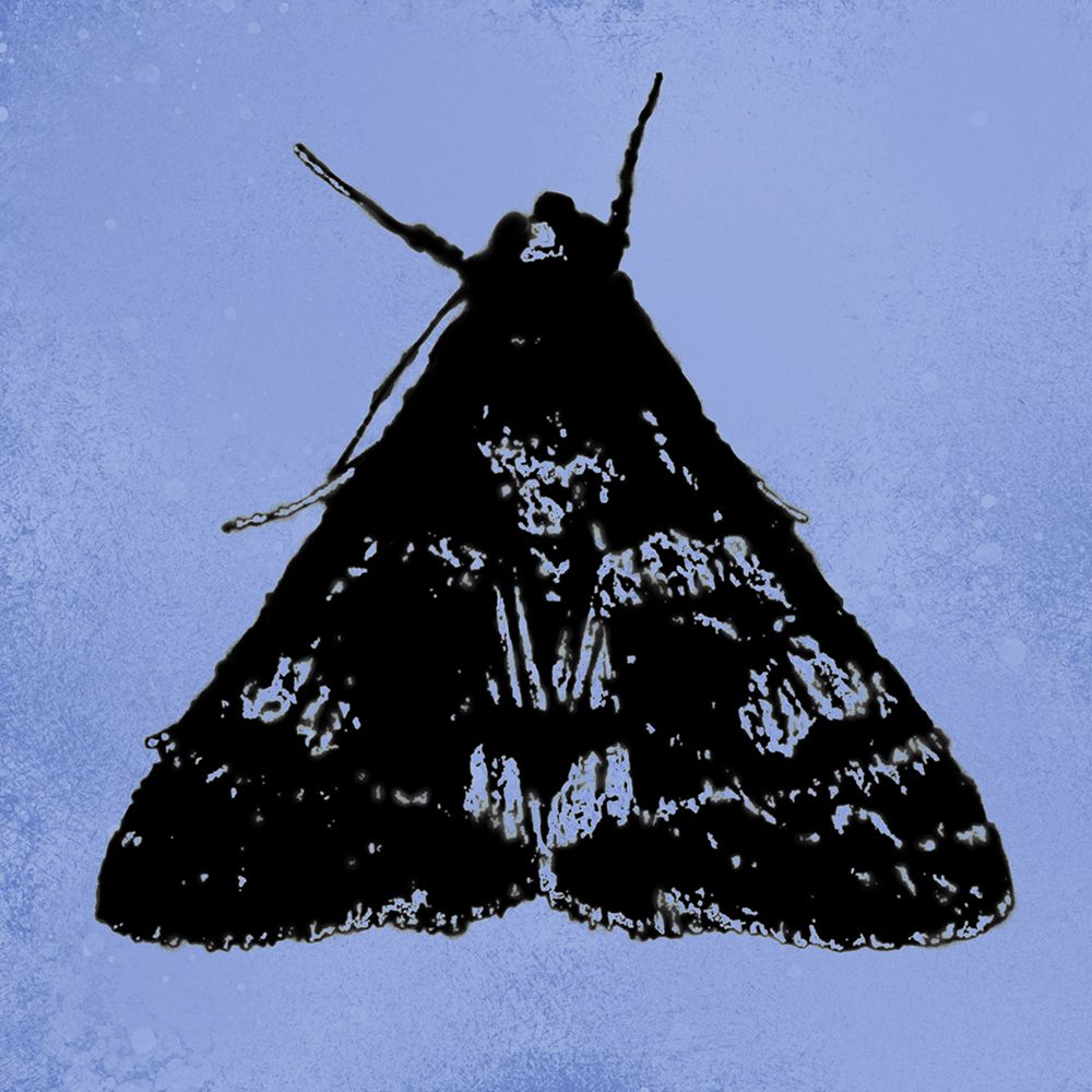 ColorMoods:Moth5 art print by William Tenoever for $57.95 CAD