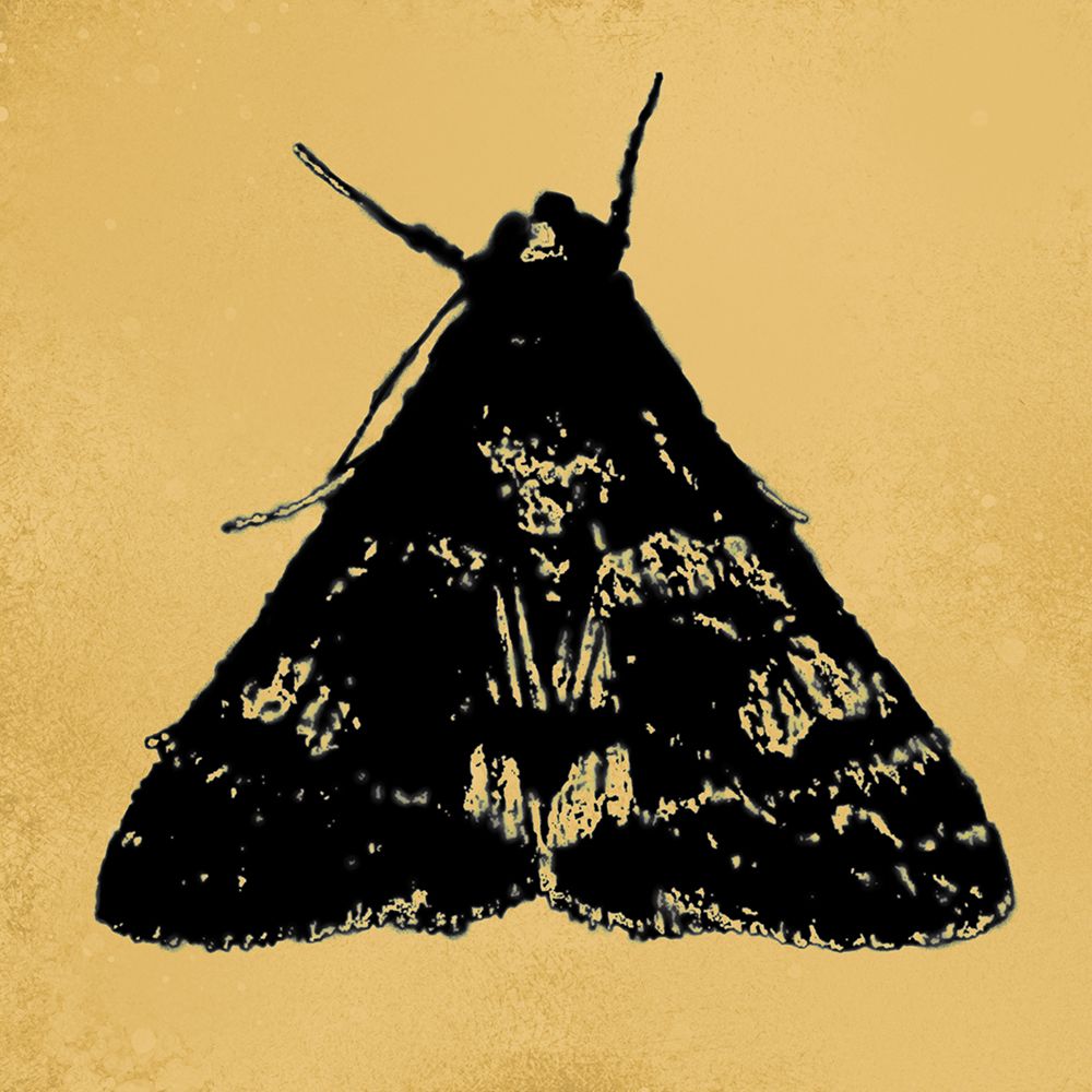 ColorMoods:Moth6 art print by William Tenoever for $57.95 CAD
