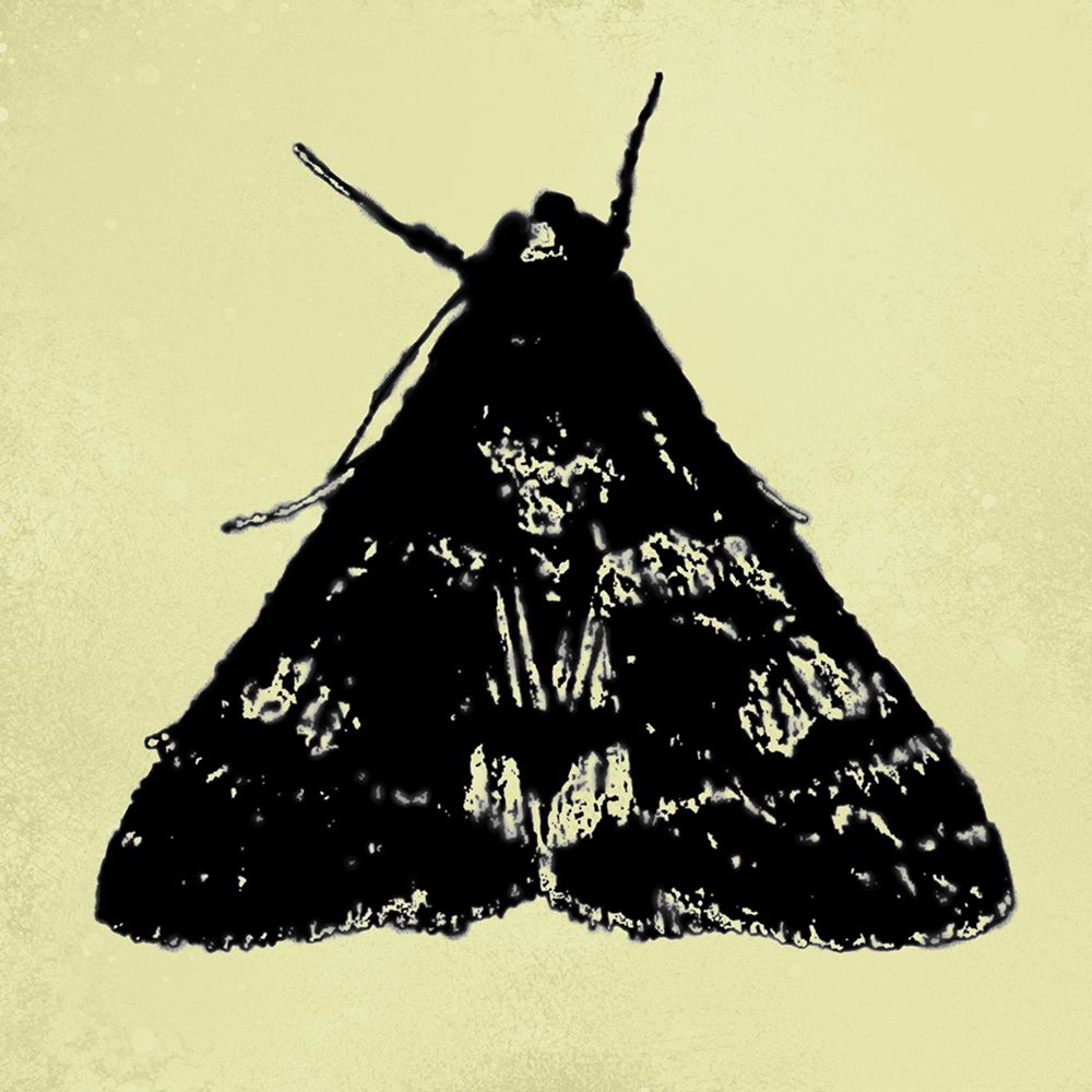 ColorMoods:Moth10 art print by William Tenoever for $57.95 CAD