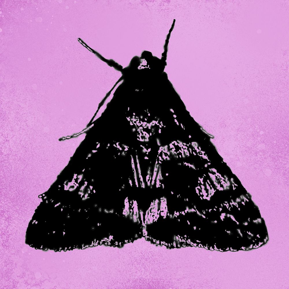 ColorMoods:Moth11 art print by William Tenoever for $57.95 CAD