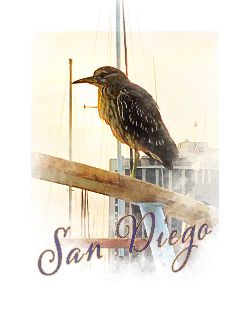 San Diego -Yellow Crowned Night Heron art print by William Tenoever for $57.95 CAD