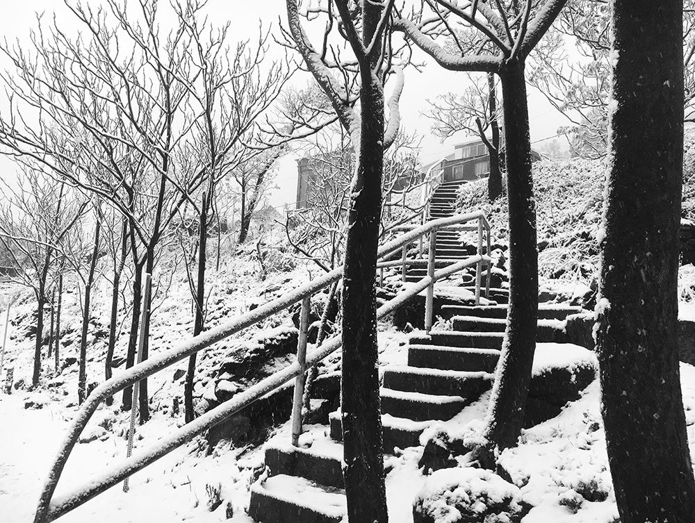 Jerome Snowy Stairs II BandW art print by William Tenoever for $57.95 CAD