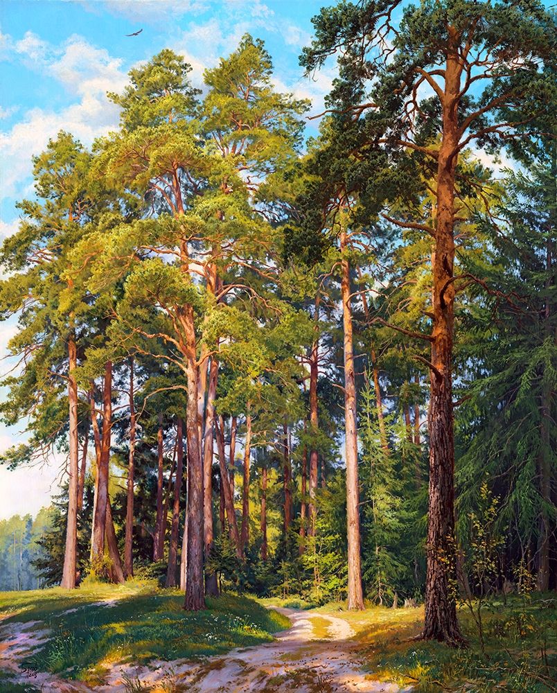 Ship pines art print by Sergej Basov for $57.95 CAD