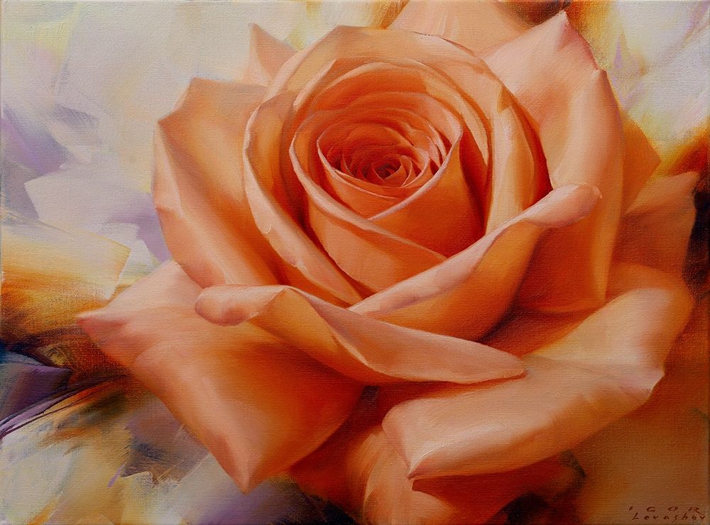 Orange rose art print by Igor Levashov for $57.95 CAD