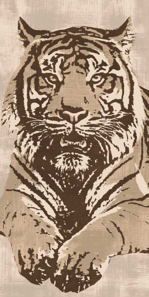 Tiger art print by Andrew Cooper for $57.95 CAD