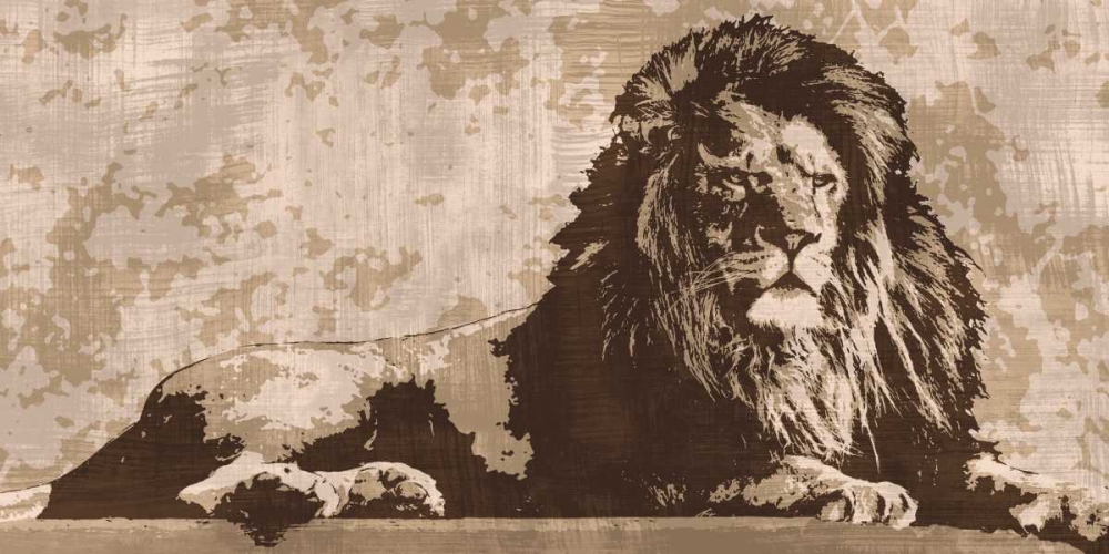 Lion art print by Andrew Cooper for $57.95 CAD