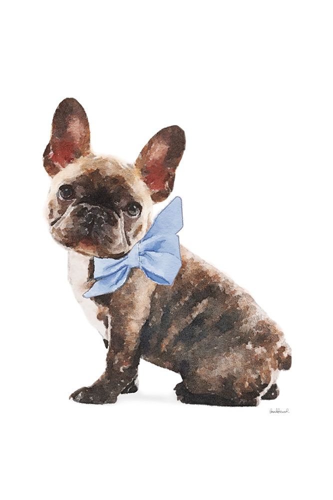Frenchie VII art print by Amanda Greenwood for $57.95 CAD