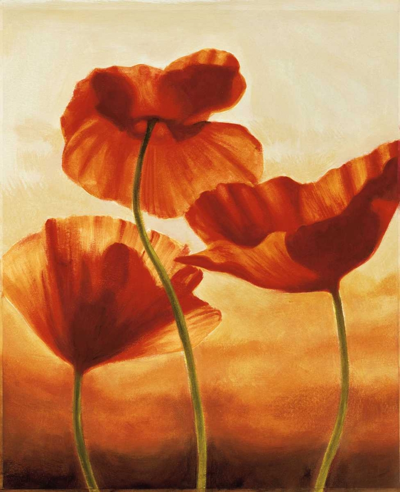 Poppies in Sunlight II art print by Andrea Kahn for $57.95 CAD