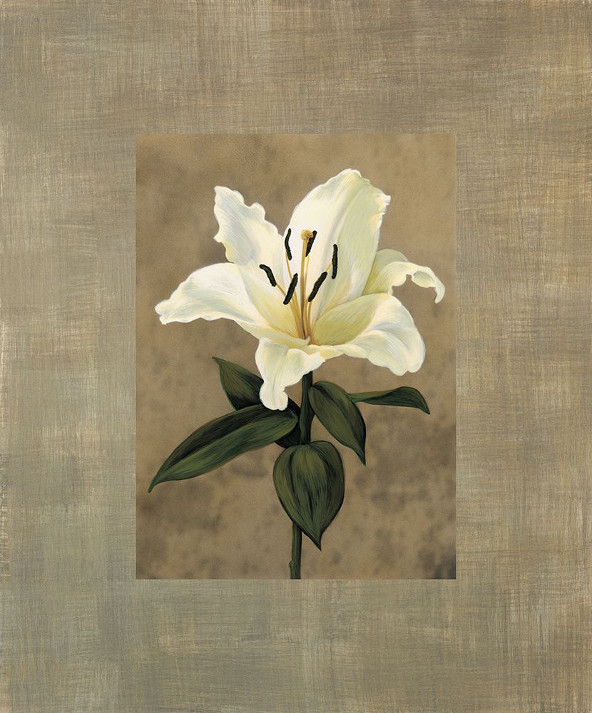 Lily art print by Andrea Trivelli for $57.95 CAD