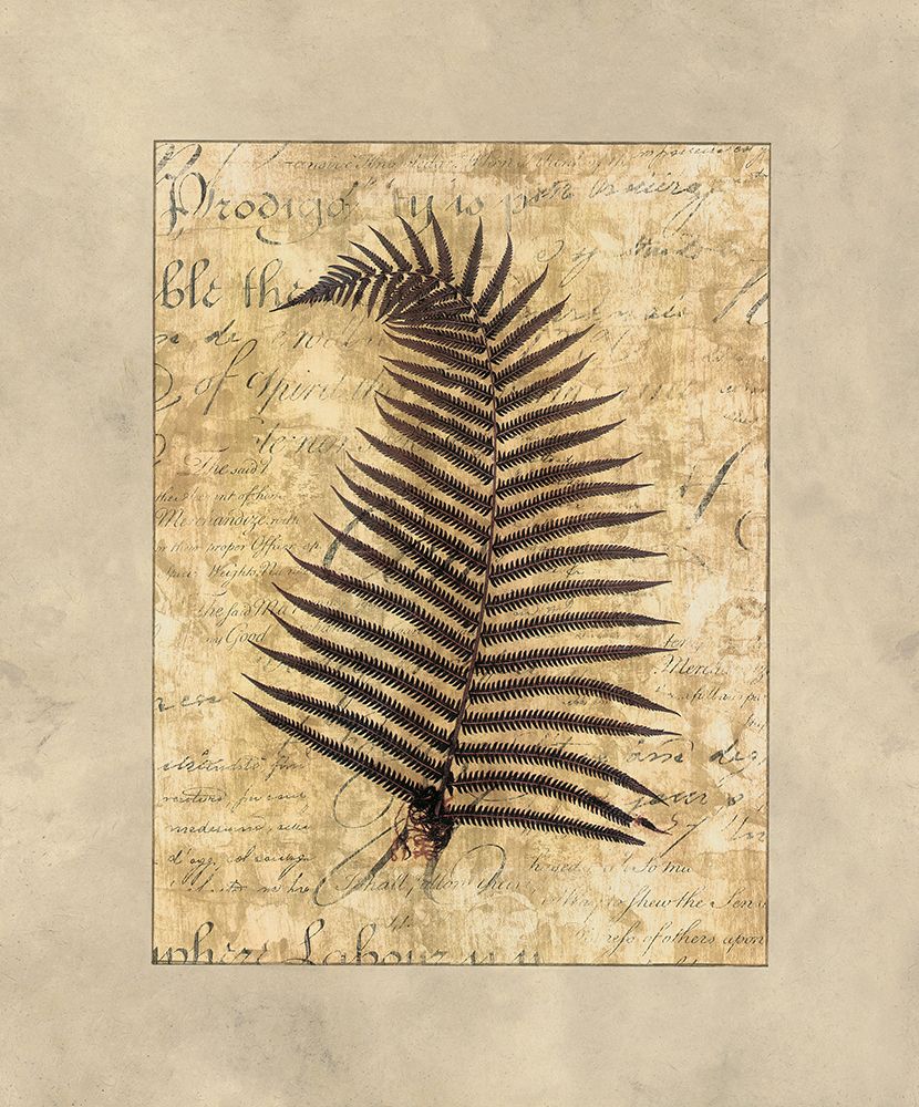Fern I art print by Amy Weaver for $57.95 CAD