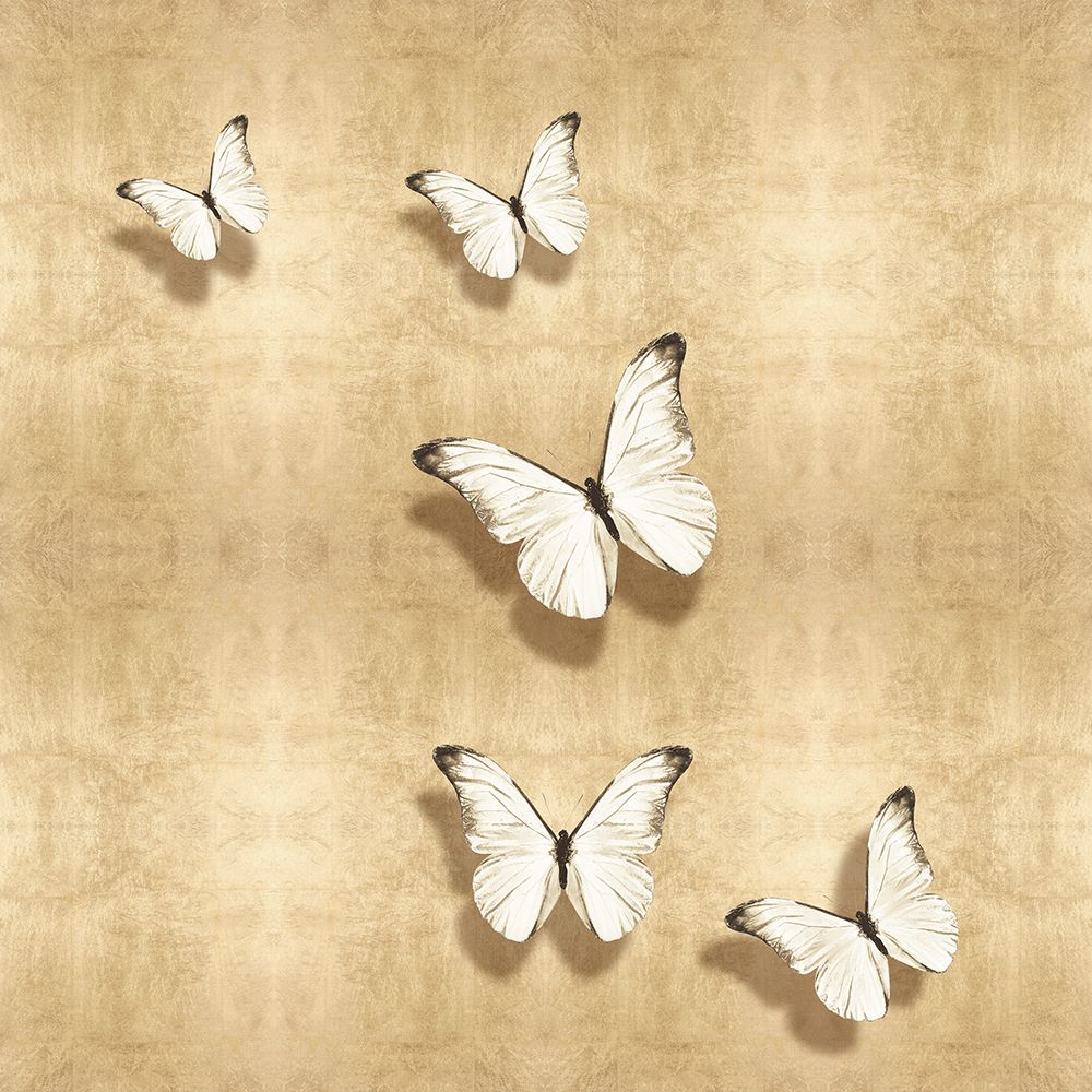 Butterflies on Gold II art print by Tina Blakely for $57.95 CAD