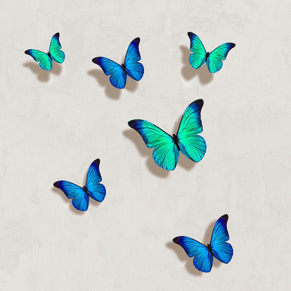 Blue Butterflies II art print by Tina Blakely for $57.95 CAD