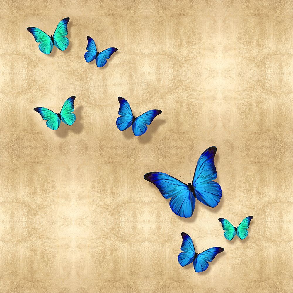 Butterflies Blue on Gold II art print by Tina Blakely for $57.95 CAD