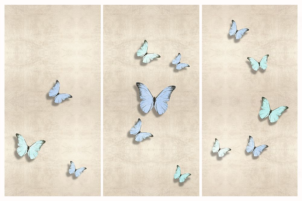 In Flight Aqua I, II, III art print by Tina Blakely for $57.95 CAD