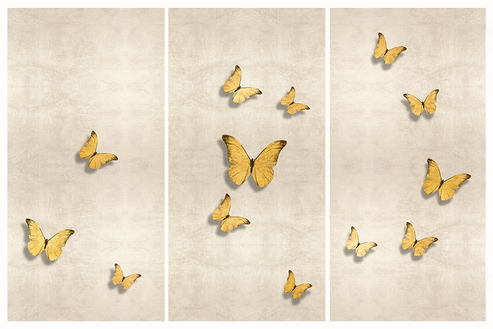 In Flight Gold I, II, III art print by Tina Blakely for $57.95 CAD