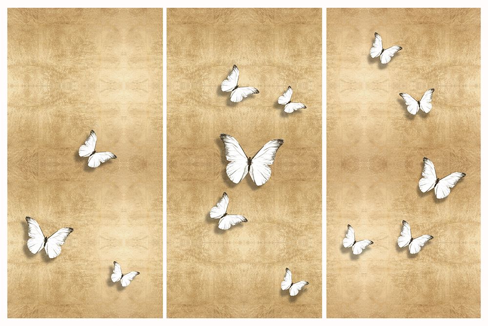 In Flight I, II, III art print by Tina Blakely for $57.95 CAD