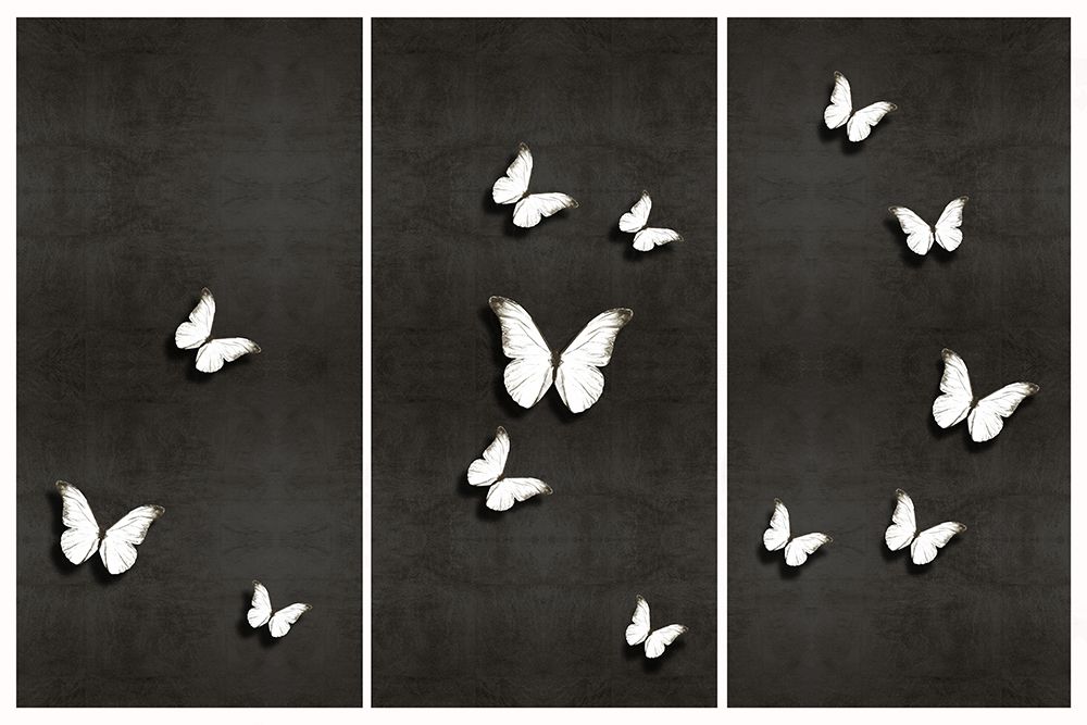 In Flight Midnight I, II, III art print by Tina Blakely for $57.95 CAD