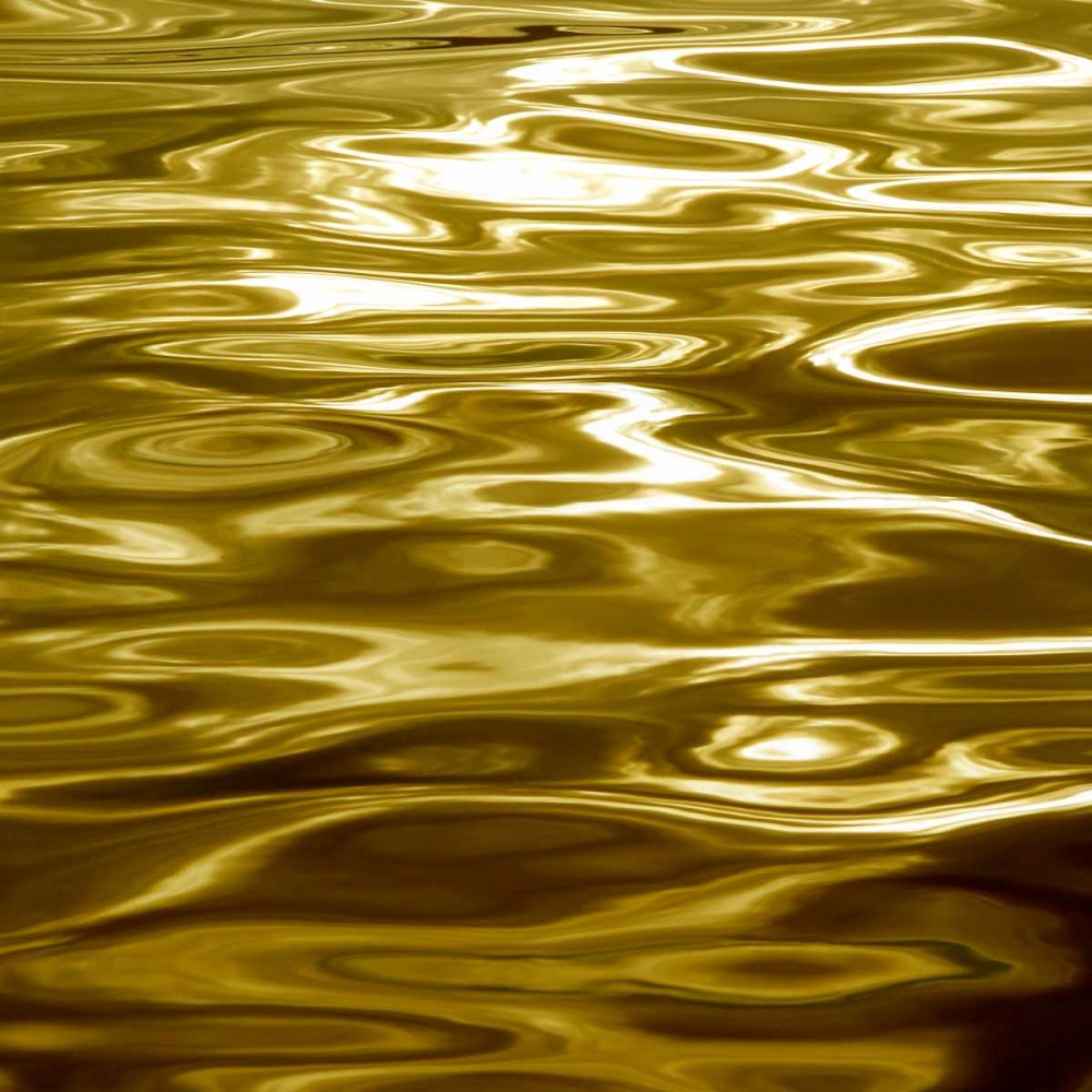 Liquid Gold art print by Charlie Carter for $57.95 CAD