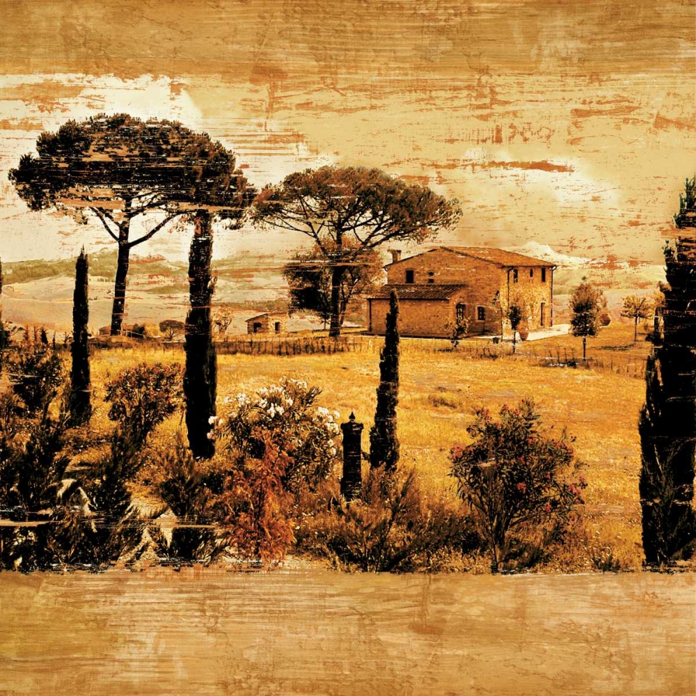 Tuscan Countryside I art print by Colin Floyd for $57.95 CAD
