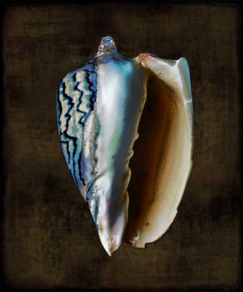 Ocean Treasure I art print by Caroline Kelly for $57.95 CAD