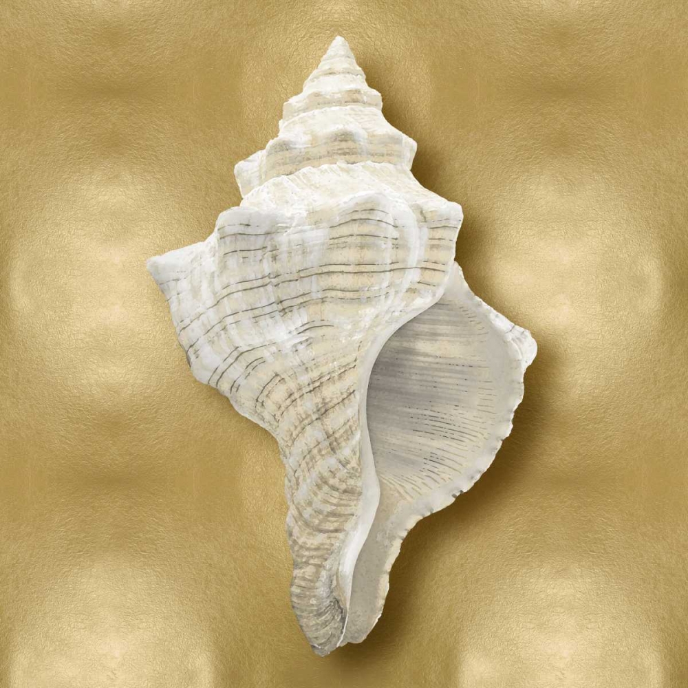 Ocean Gem on Gold I art print by Caroline Kelly for $57.95 CAD