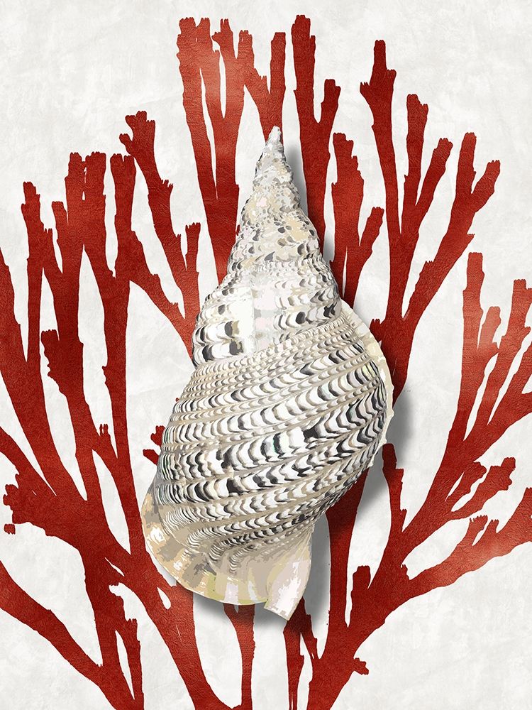 Shell Coral Red I art print by Caroline Kelly for $57.95 CAD