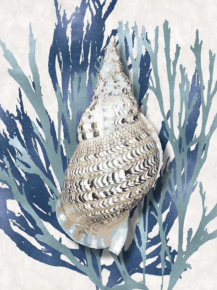 Shell Coral Aqua Blue I art print by Caroline Kelly for $57.95 CAD