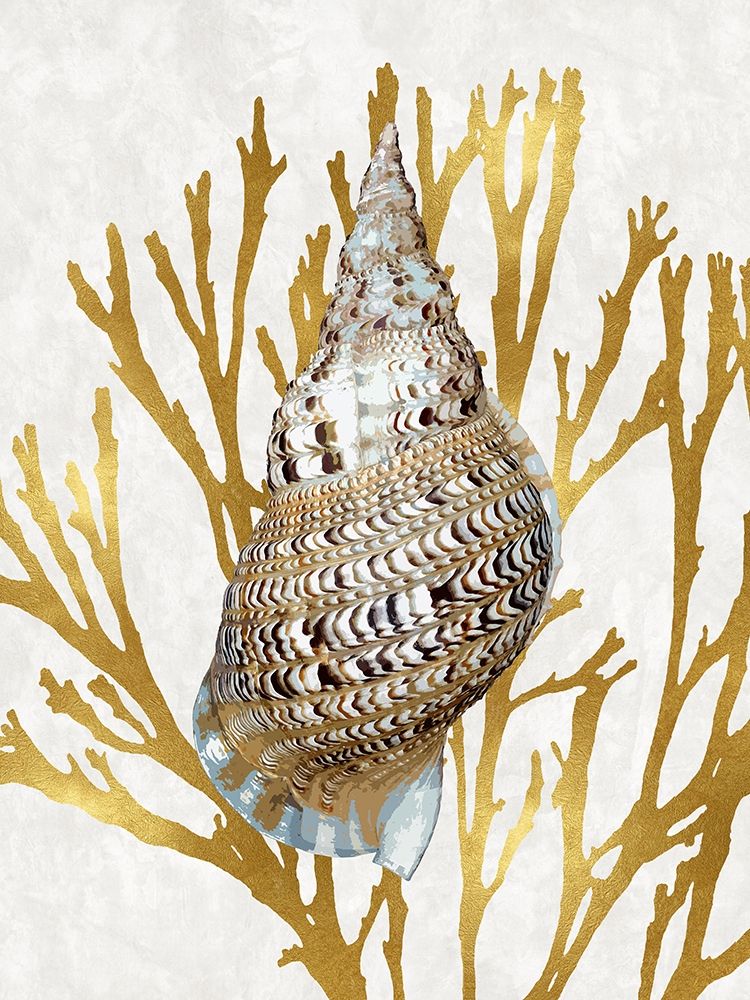 Shell Coral Gold I art print by Caroline Kelly for $57.95 CAD